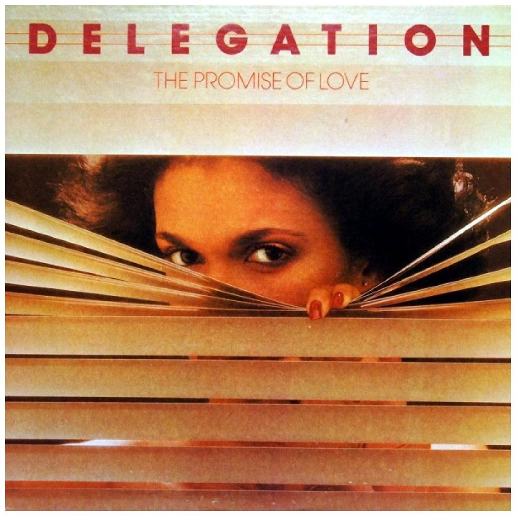 DELEGATION - THE PROMISE OF LOVE | VINILO USADO