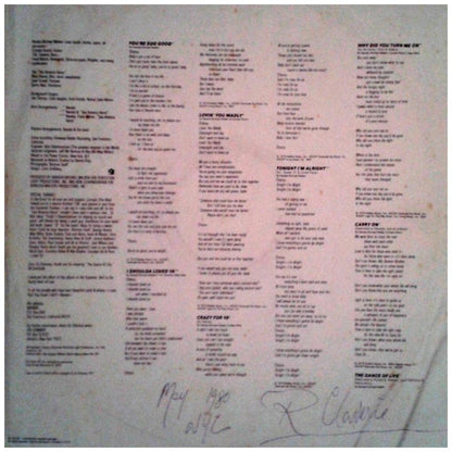 NARADA MICHAEL WALDEN - THE DANCE OF LIFE | VINILO USADO