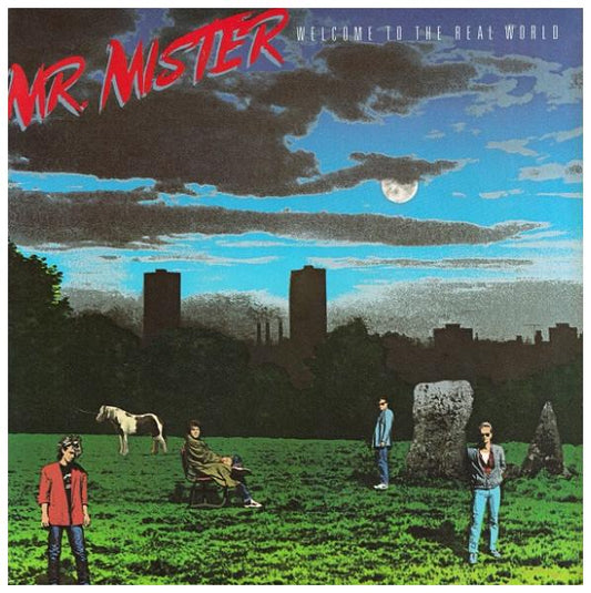 MR. MISTER - WELCOME TO THE REAL WORLD | VINILO USADO