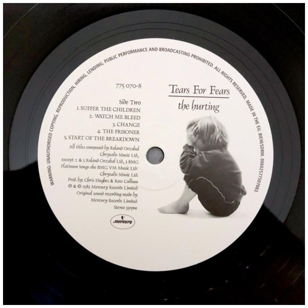 TEARS FOR FEARS - THE HURTING | VINILO
