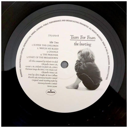 TEARS FOR FEARS - THE HURTING | VINILO