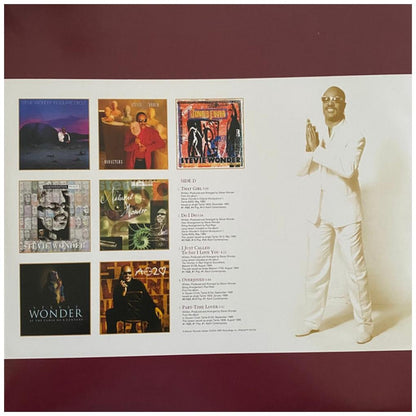 STEVIE WONDER - DEFINITIVE COLLECTION (2LP) | VINILO