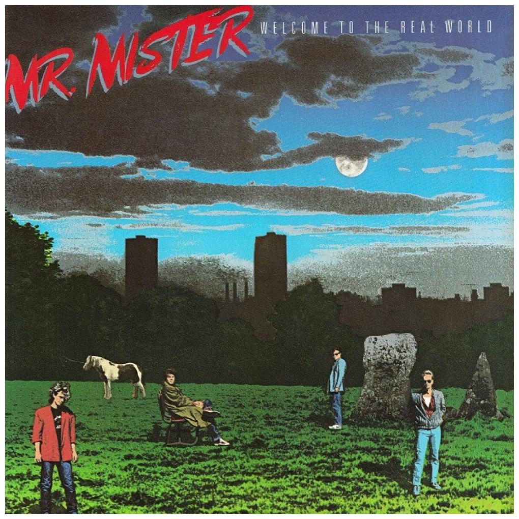 MR. MISTER - WELCOME TO THE REAL WORLD | 12" MAXI SINGLE USADO
