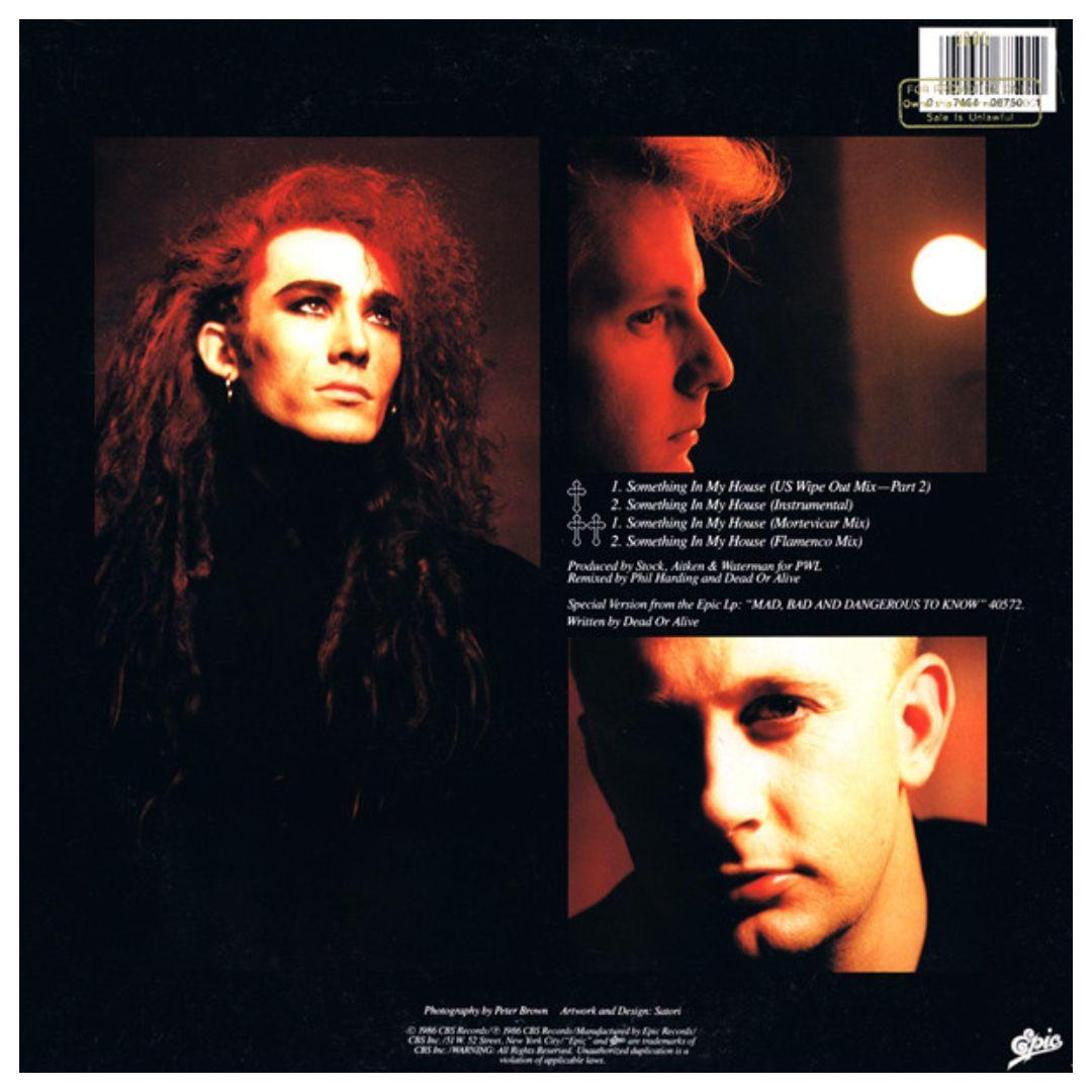 DEAD OR ALIVE - SOMETHING IN MY HOUSE | 12" MAXI SINGLE VINILO
