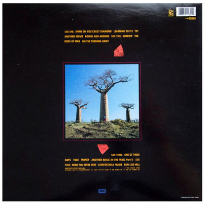 PINK FLOYD - DELICATE SOUND OF A THUNDER (2LP) | VINILO