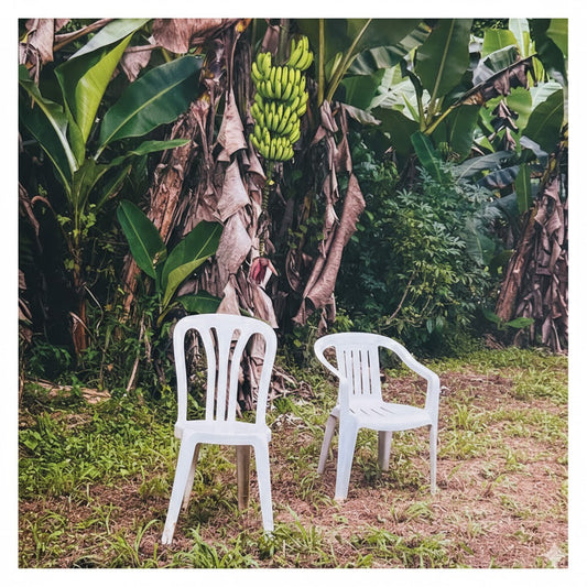 (PREVENTA) BAD BUNNY - DEBI TIRAR MAS FOTOS (WHITE VINYL) (2LP) | VINILO